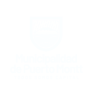 puertomonttmuni